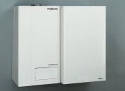 AF405952.jpg AF405952.jpg