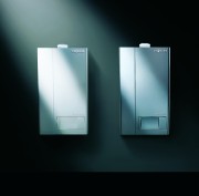 AF405955.jpg AF405955.jpg