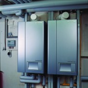 AF405975.jpg AF405975.jpg