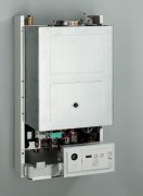AF504804.jpg AF504804.jpg