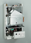 AF504805.jpg AF504805.jpg