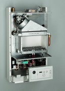 AF504806.jpg AF504806.jpg