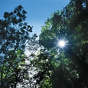 00133077.jpg 00133077.jpg