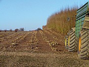 070324-wald2rou_1.jpg 070324-wald2rou_1.jpg