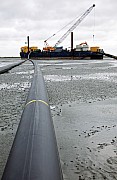 20145774.jpg 20145774.jpg