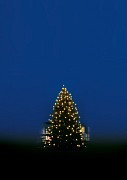 DSC_0038_b_2.jpg DSC_0038_b_2.jpg