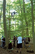 DSC_0181_b.jpg DSC_0181_b.jpg
