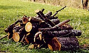 Holz_Landschaftspflege_001.jpg Holz_Landschaftspflege_001.jpg