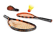 Speedminton.jpg Speedminton.jpg
