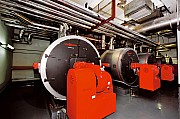_MSW8278_b.jpg _MSW8278_b.jpg