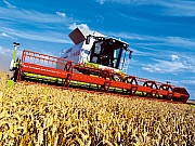 lexion_72575_150.jpg lexion_72575_150.jpg