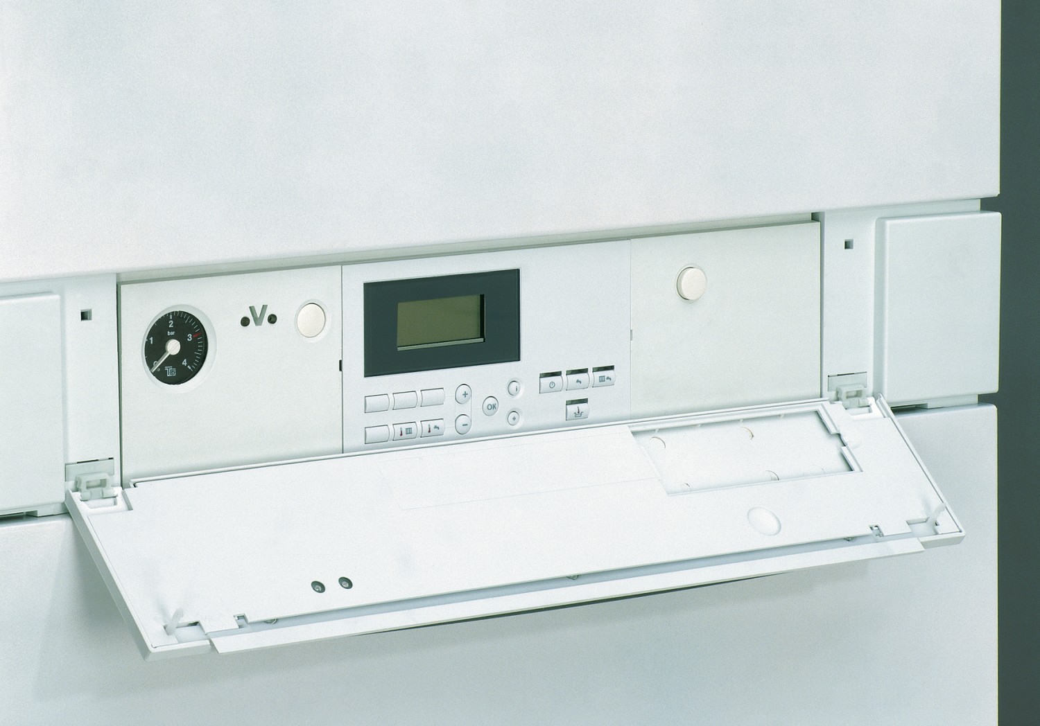 AF205506.jpg
