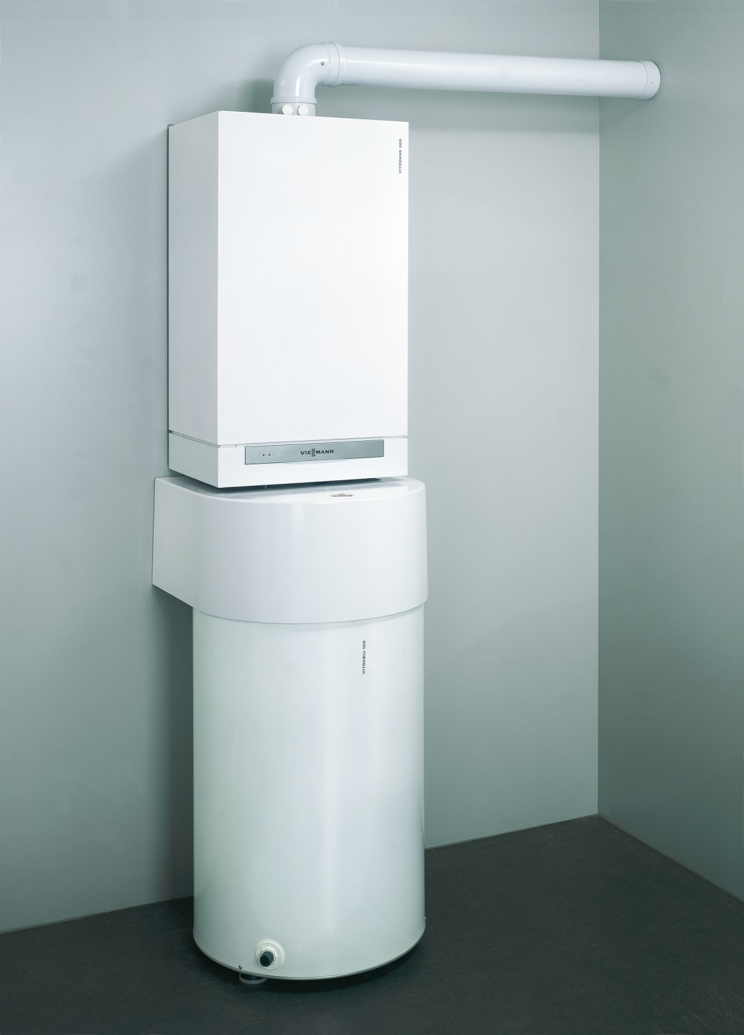 AF205609.jpg