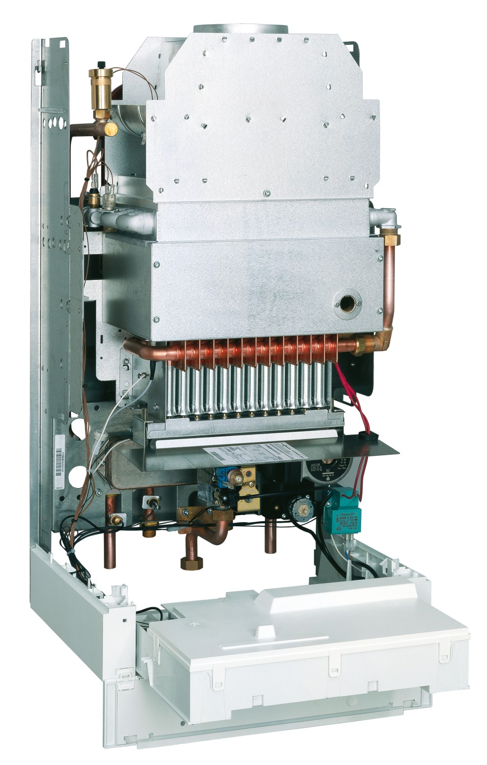 AF304666.jpg