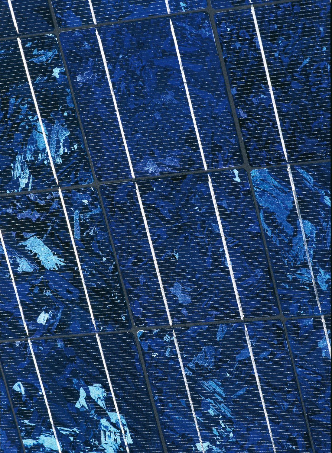 EF168107.jpg