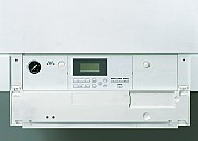 AF205909.jpg AF205909.jpg