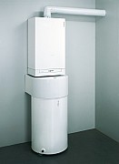 AF304661.jpg AF304661.jpg