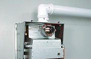 AF304662.jpg AF304662.jpg
