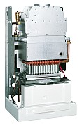 AF304664.jpg AF304664.jpg