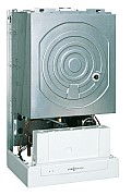 AF304665.jpg AF304665.jpg