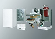 AF304672.jpg AF304672.jpg