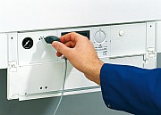 AF304677.jpg AF304677.jpg