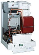 AF305401.jpg AF305401.jpg