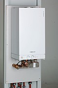 AF504205.jpg AF504205.jpg