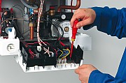 AF504223.jpg AF504223.jpg