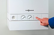 AF504225.jpg AF504225.jpg