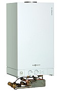 AF504230.jpg AF504230.jpg