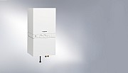 AF504234.jpg AF504234.jpg