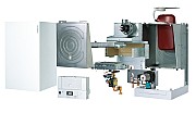 AF504809.jpg AF504809.jpg