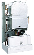 AF504813.jpg AF504813.jpg