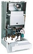 AF504818.jpg AF504818.jpg