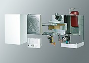 AF504820.jpg AF504820.jpg