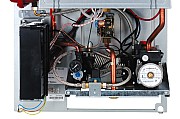 AF509510.jpg AF509510.jpg