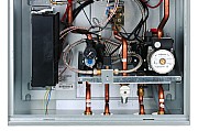 AF509511.jpg AF509511.jpg