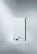 AF515901.jpg AF515901.jpg
