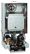 AF515908.jpg AF515908.jpg