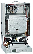 AF515909.jpg AF515909.jpg