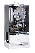 AF605085.jpg AF605085.jpg