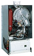 AF706703.jpg AF706703.jpg