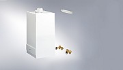 AF706719.jpg AF706719.jpg