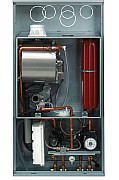 AF715405.jpg AF715405.jpg