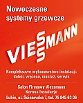 014-Viessmann - SF Korona Instalacje - Logo przestrzenne - 2012༿ (40x50).jpg 014-Viessmann - SF Korona Instalacje - Logo przestrzenne - 2012༿ (40x50).jpg