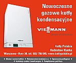 069-Viessmann - Kotly Polskie - R.Kunka - Banner 300x250 2012ག.jpg 069-Viessmann - Kotly Polskie - R.Kunka - Banner 300x250 2012ག.jpg