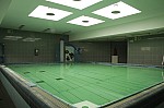 _MG_8776.jpg _MG_8776.jpg
