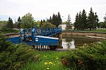 IMG_6893.jpg IMG_6893.jpg