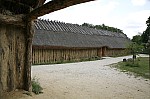 _MG_1156.jpg _MG_1156.jpg
